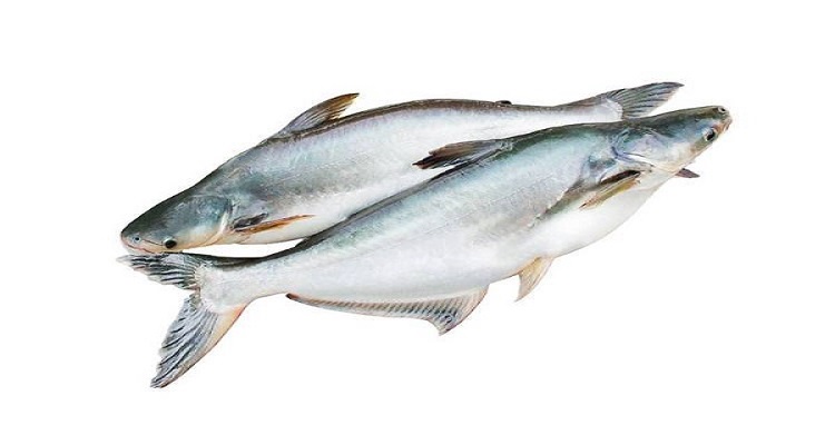 Ca-basa-nguyen-con