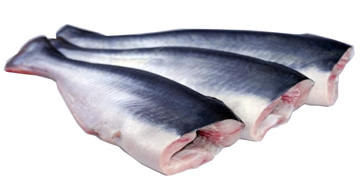 ca-basa-cat-dau