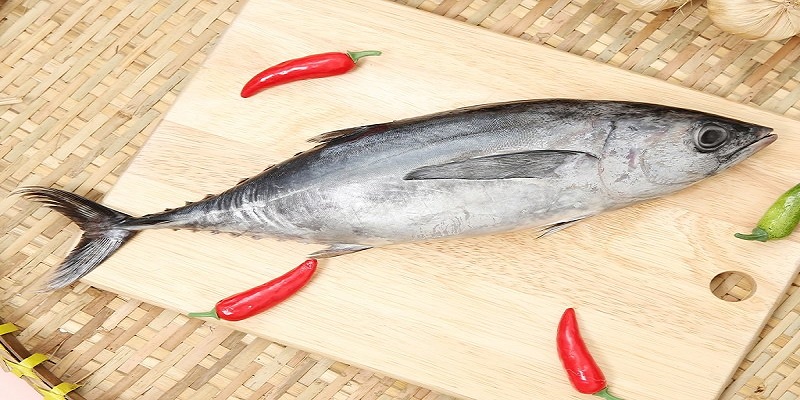 Chia sẻ cách chế biến các món ngon làm từ cá ngừ